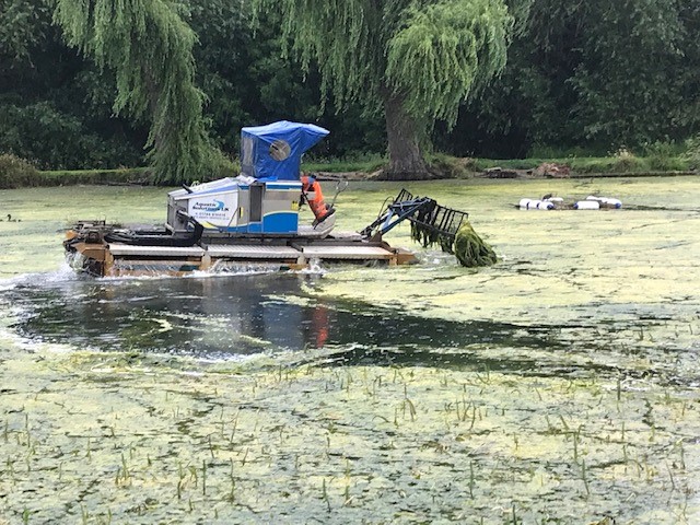 Algae is removed from St Peter’s Pool